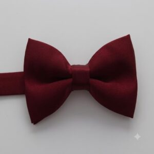 Solid dark red bow tie